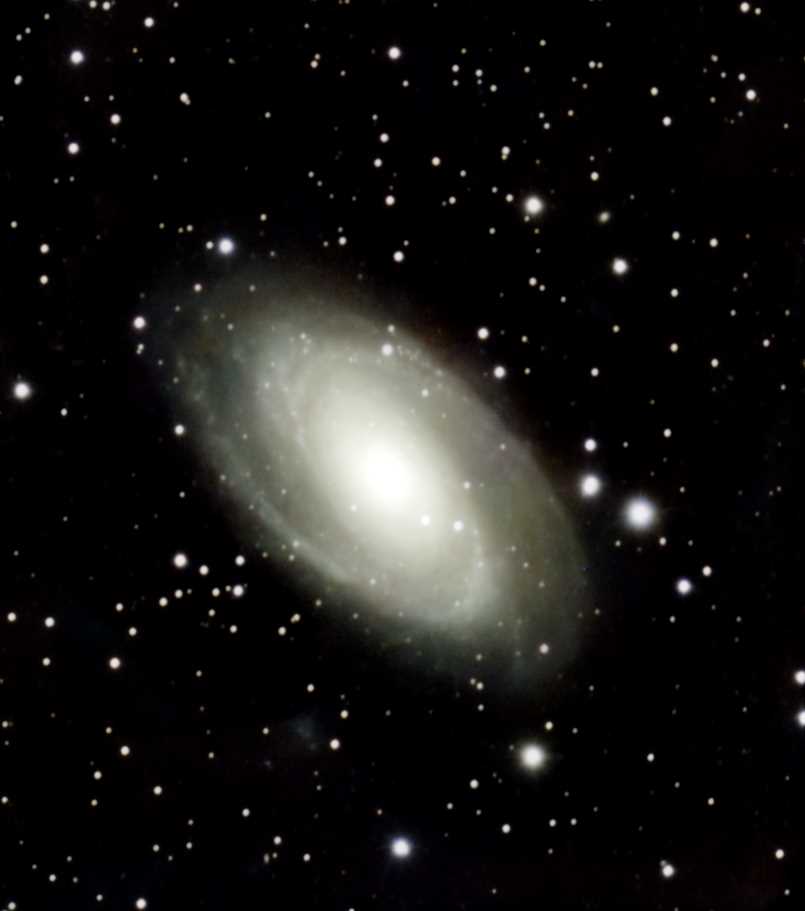 M 81.jpg